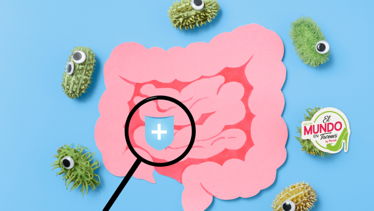 Microbiota Intestinal
