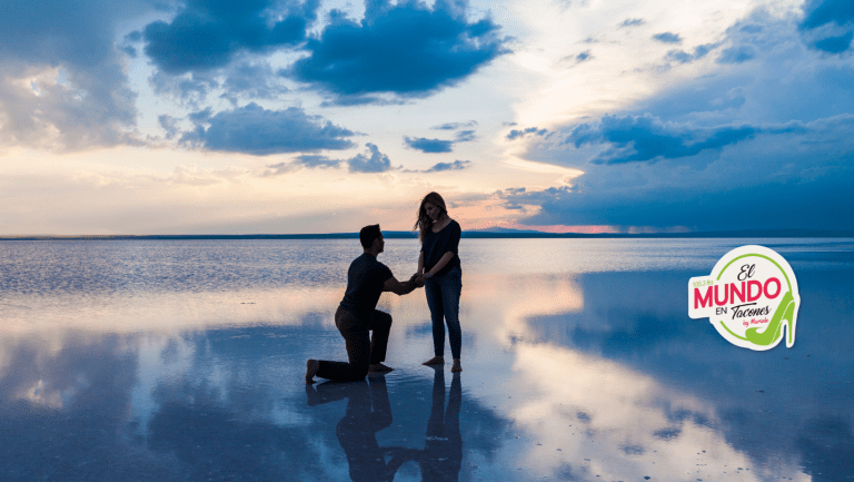 La propuesta perfecta