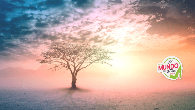 ⁠Las estaciones como en la vida